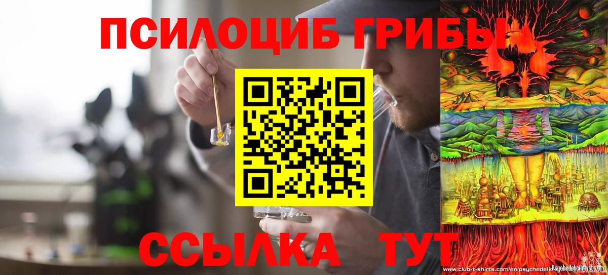 Галлюциногенные грибы прущие грибы  Вход с VPN  Псилоцибиновые грибы мицелий  Камышин 
